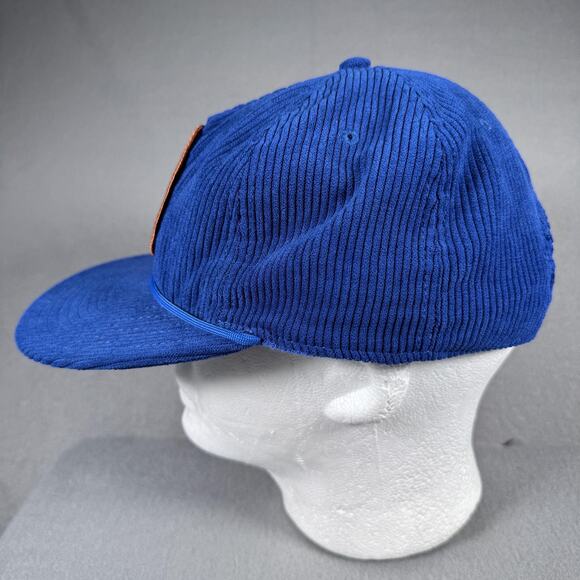 Aviator Nation Hat Cap Snap Back Blue Corduroy Mountain Patch Retro Stripe Mens - Picture 6 of 12